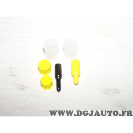 Kit bouchons pompe à injection moteur DW10TD DV4TD X39-800-300-003Z pour peugeot citroen ford mazda HDI 