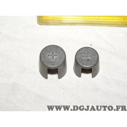 Paire bornes plot cosse branchement de batterie B80.23+24-