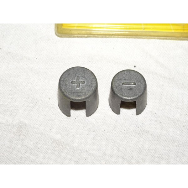 Paire bornes plot cosse branchement de batterie B80.23+24- 