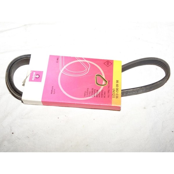 Courroie accessoire 4PK908 8660002036 pour fiat ducato iveco daily citroen jumpy dacia logan sandero hyundai accent getz lantra 