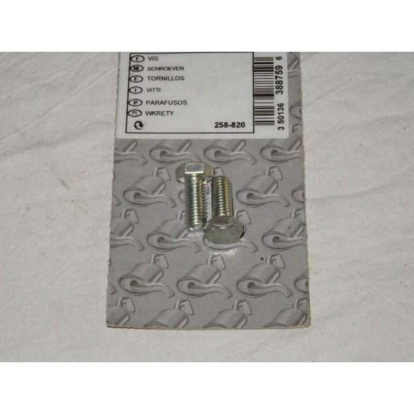 Lot 2 vis boulon fixation tube echappement silencieux collecteur tuyau 20mm Bosal 258820 pour divers véhicules fiat alfa romeo l