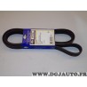 Courroie accessoire Sasic 6PK1960 pour suzuki jimny alfa romeo 147 156 166 GT GTV spider lancia lybra