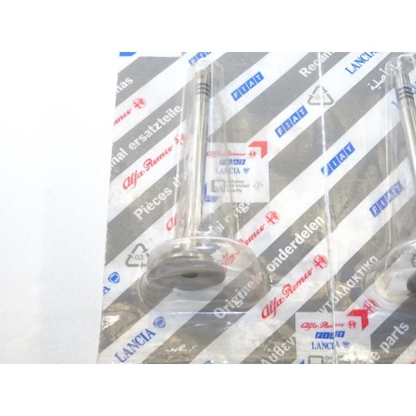 1 Soupape echappement Fiat 71745416 pour fiat brava bravo marea lancia kappa 1.9TD 2.4TD 1.9 2.4 TD diesel