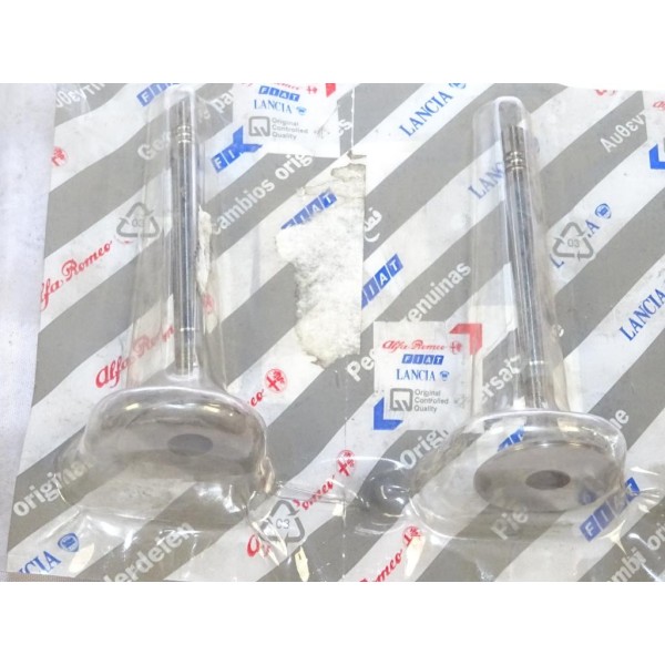 1 Soupape admission Fiat 7798620 pour fiat brava bravo marea lancia kappa 1.9TD 2.4TD 1.9 2.4 TD diesel 