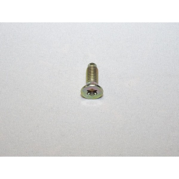 Vis fixation charniere de porte Fiat 7674521 pour fiat cinquecento seicento  