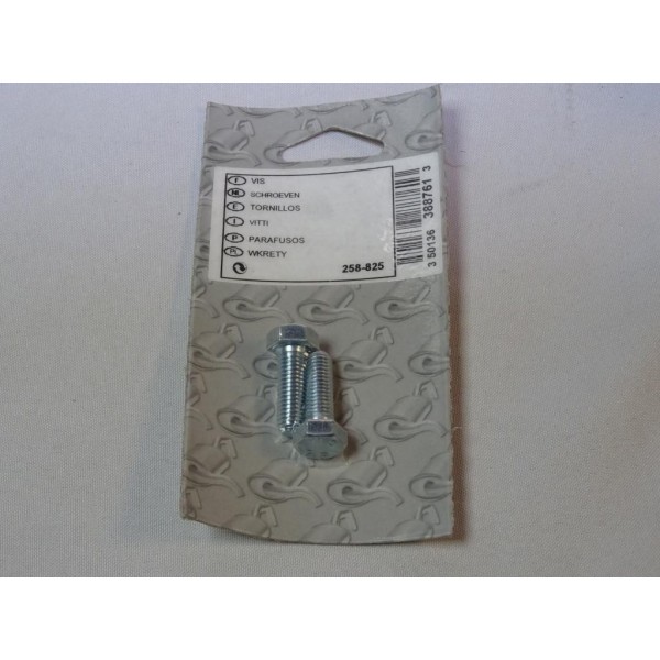 Sachet 2 vis boulon fixation echappement silencieux collecteur tuyau tube 25mm Bosal 258825 pour divers véhicules fiat alfa rome