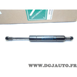 Verin ouverture capot moteur 1510N Mopar 5008938AC pour chrysler 200 de 2011 à 2014 sebring de 2007 à 2009