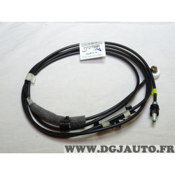 Cable faisceau antenne radio autoradio Fiat 1372779080 pour fiat ducato 3 III peugeot boxer citroen jumper de 2006 à 2014