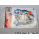 Autocollant sticker decoration chien Cadox 156603