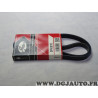 Courroie accessoire Gates 5PK870 pour honda prelude rover 75 land rover freelander MG ZT daewoo espero lanos nexia