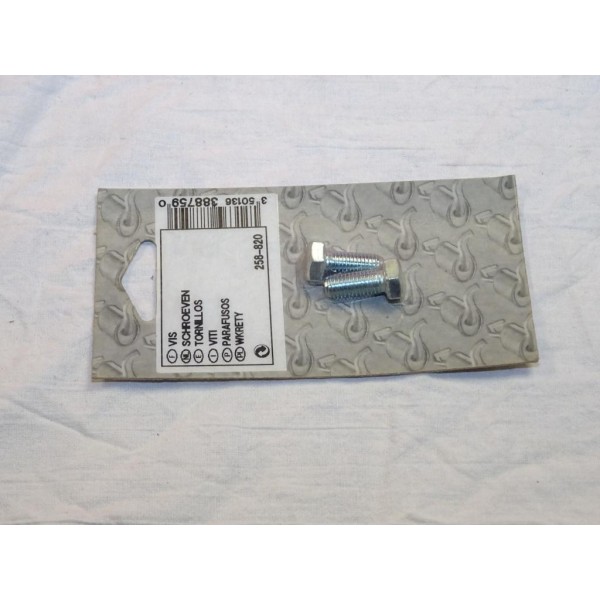 Pack 2 vis boulon fixation tube echappement silencieux collecteur tuyau 20mm Bosal 258820 pour divers véhicules fiat alfa romeo 