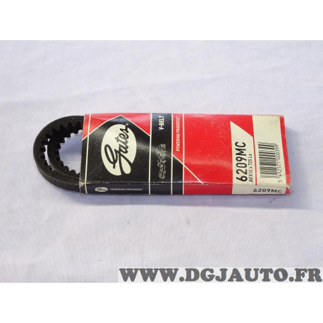 Courroie alternateur 10x725 LA Gates 6209MC pour alfa romeo 145 146 155 BMW E36 fiat 126 ford galaxy lancia dedra delta porsche 