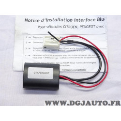 Module interface bluetooth Sofare CTAPE1A2DP 15222 pour peugeot 207 307 308 407 607 807 expert citroen 