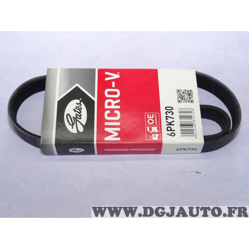 MASTER-SPORT Cinghia Poly-V | Acquisti Online Su