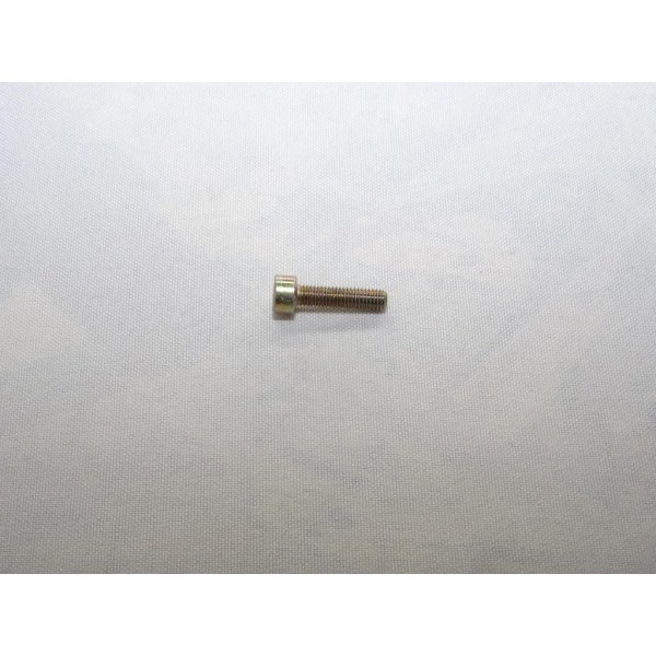 Vis pompe à injection pompe carburant Renault 7701053299 pour renault laguna 2 II megane 2 II scenic 2 II 