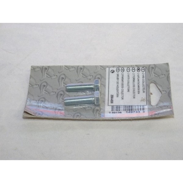 Pack 2 vis boulon fixation echappement silencieux collecteur tuyau 30mm Bosal 258830 pour divers véhicules fiat alfa romeo lanci