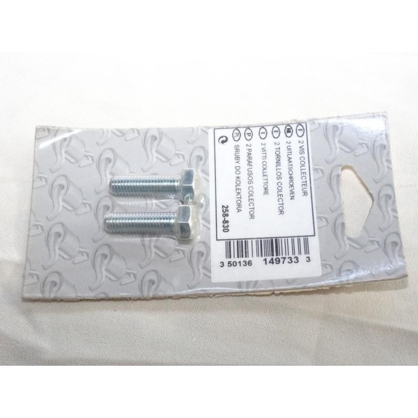 Pack 2 vis boulon fixation echappement silencieux collecteur tuyau 30mm Bosal 258-830 pour divers véhicules fiat alfa romeo lanc