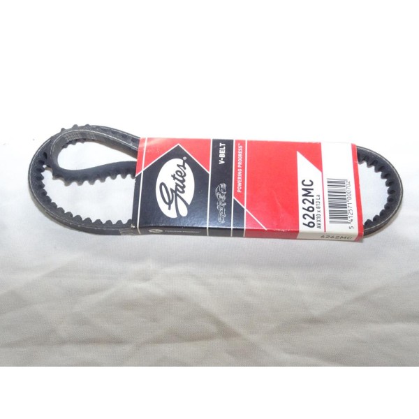 Courroie d'alternateur 10x813 LA v-belt Gates 6262MC pour alfa romeo 164 alfetta giulia ford fiesta capri escort audi 100 austin